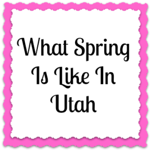 Spring In Utah