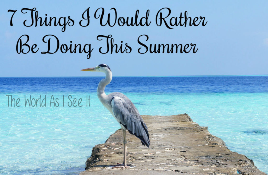 7 Things I Would Rather Be Doing This Summer