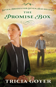 The-Promise-Box