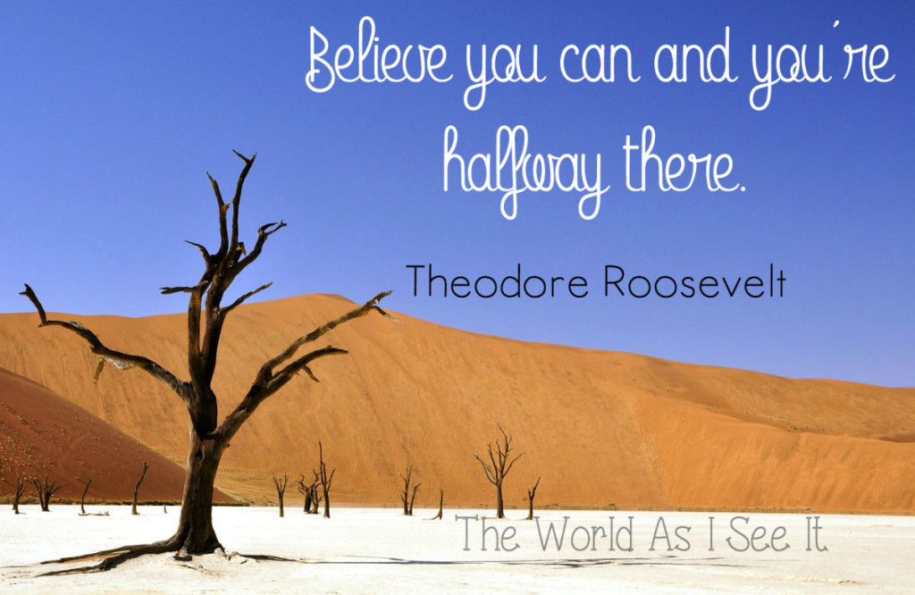 Theodore Roosevelt