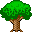 Tree 5