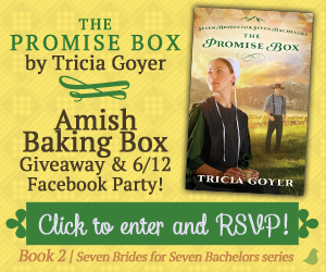 ThePromiseBox300