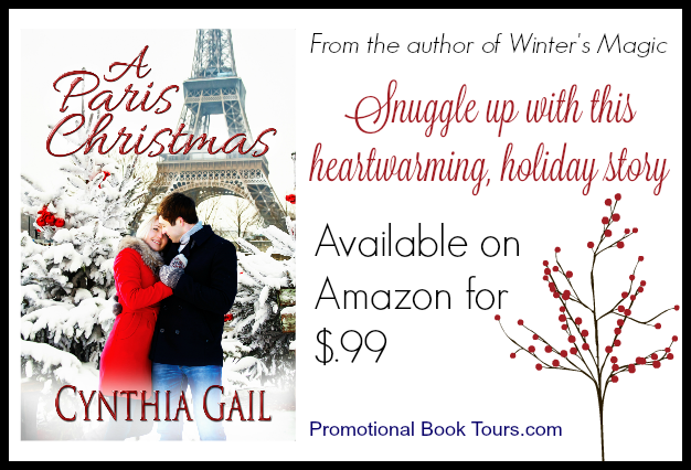 a paris christmas banner